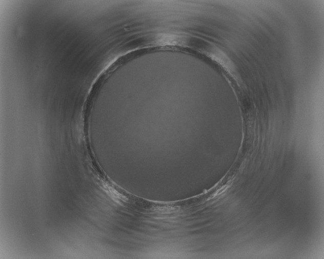 X0000070251023200606161906