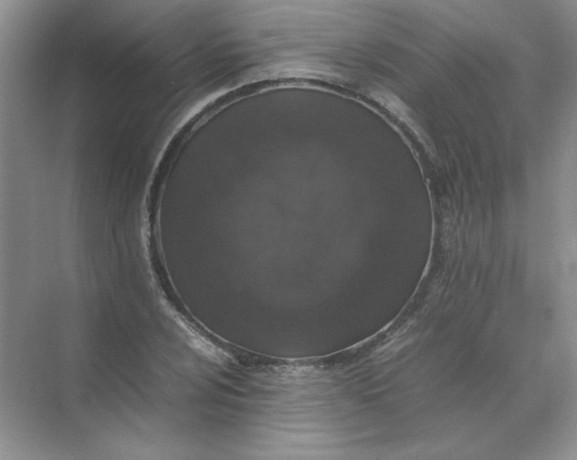 X0000070251024200606161906