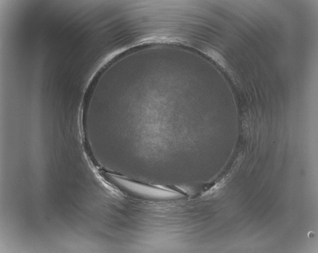 X0000070251030200606161906