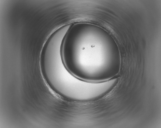 X0000070251034200606161906