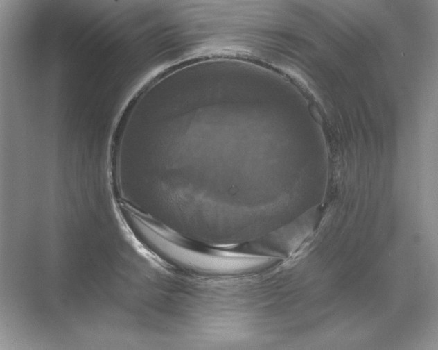 X0000070251038200606161906