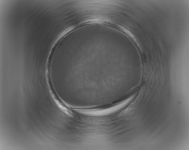X0000070251042200606161907