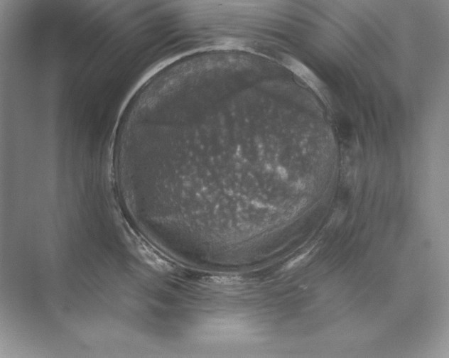 X0000070251052200606161907