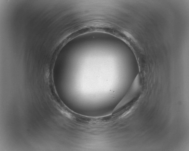 X0000070251065200606161906