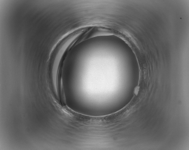 X0000070251069200606161906