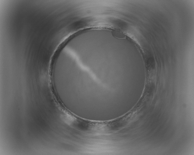 X0000070251071200606161906
