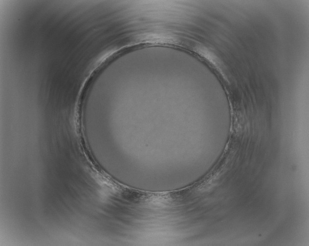 X0000070251074200606161906