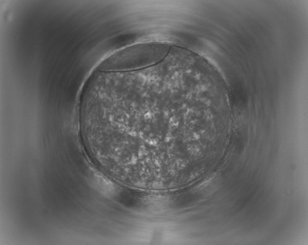X0000070251075200606161906
