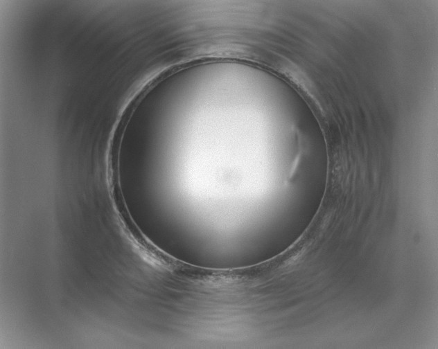 X0000070251082200606161906
