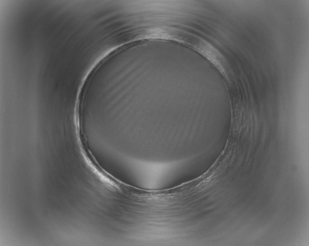 X0000070251084200606161906