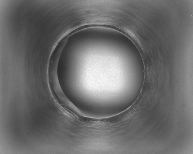 X0000070251085200606161905