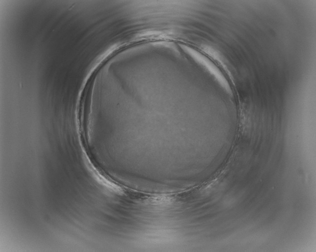 X0000070251090200606161905