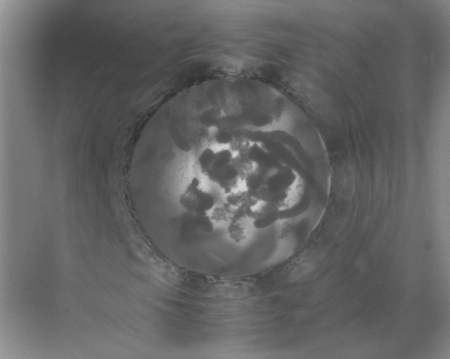 X0000070251105200606161904