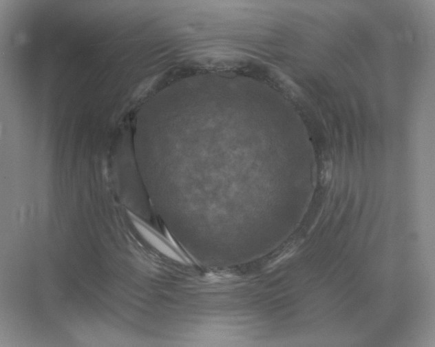 X0000070251108200606161904