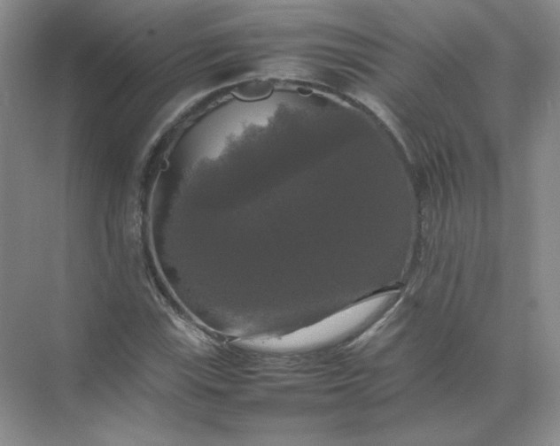 X0000070251115200606161904