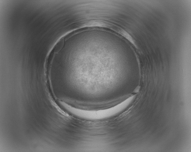 X0000070251116200606161905