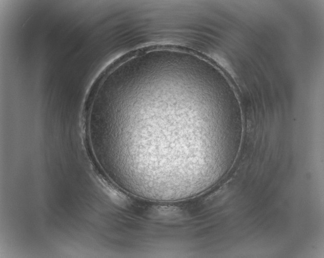 X0000070251119200606161905