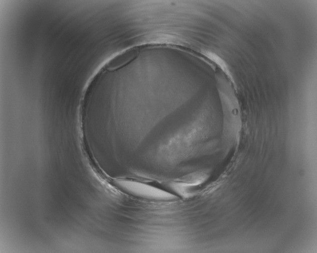 X0000070251120200606161905