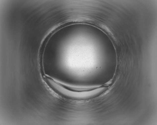 X0000070251122200606161905