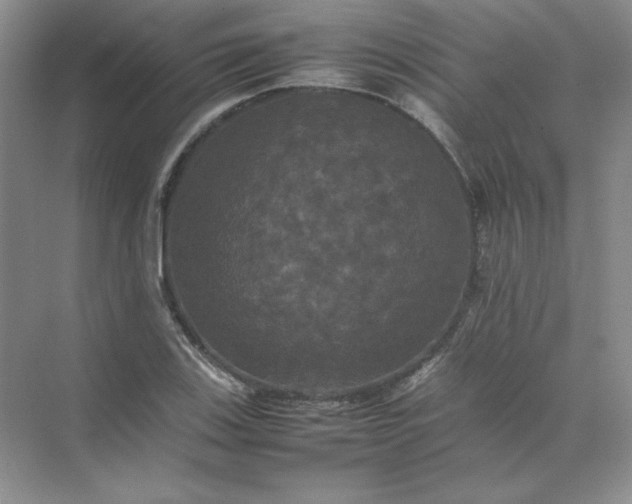 X0000070251123200606161905
