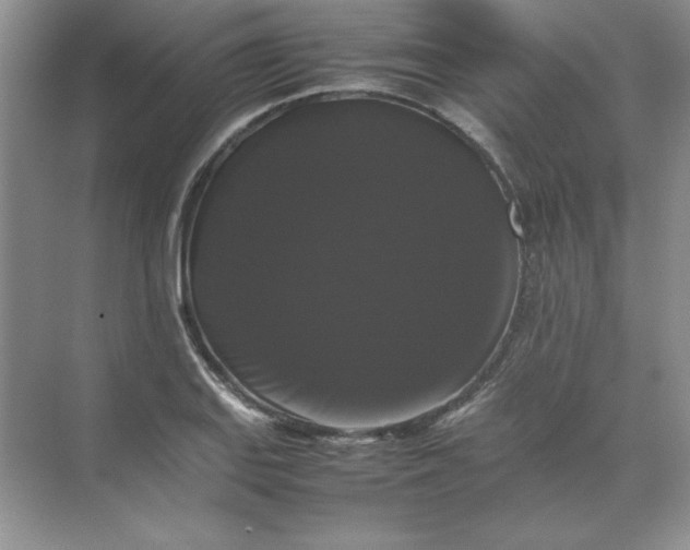 X0000070251127200606161905