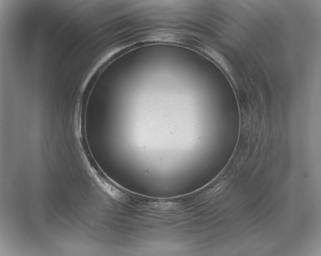 X0000070251131200606161905