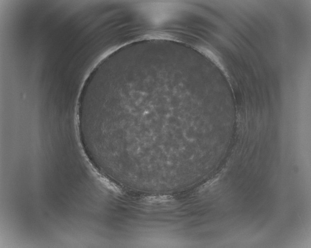 X0000070251133200606161905
