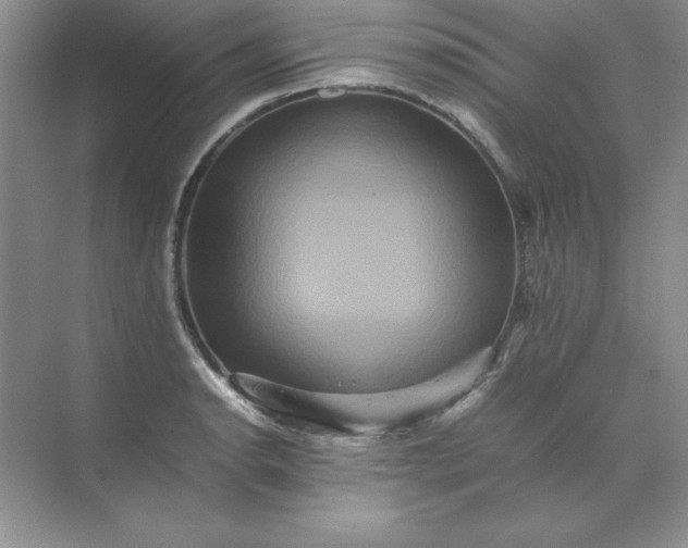 X0000070251134200606161905