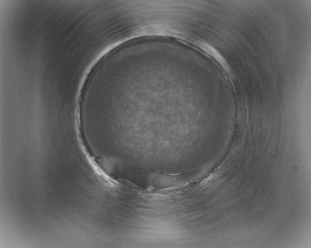 X0000070251144200606161905