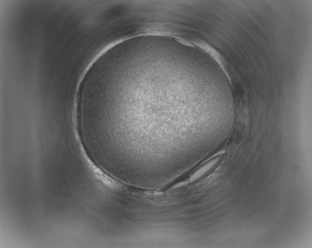 X0000070251147200606161905