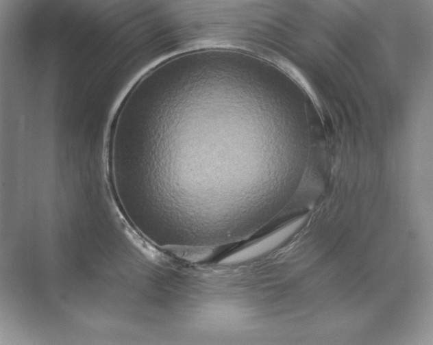 X0000070251148200606161905