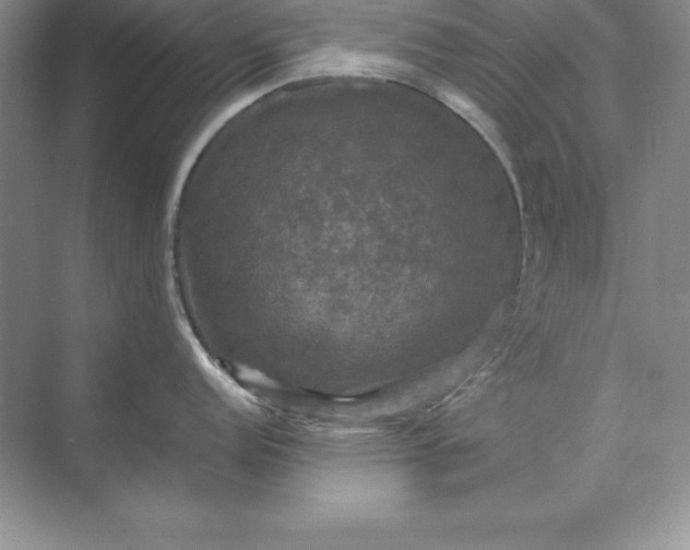 X0000070251152200606161905