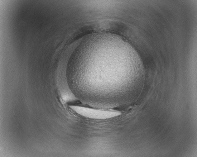 X0000070251153200606161904