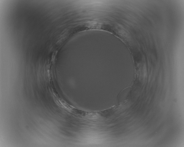 X0000070251154200606161904