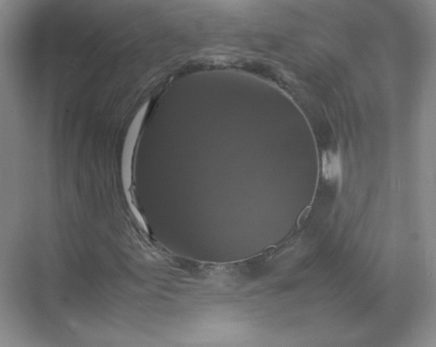 X0000070251155200606161904
