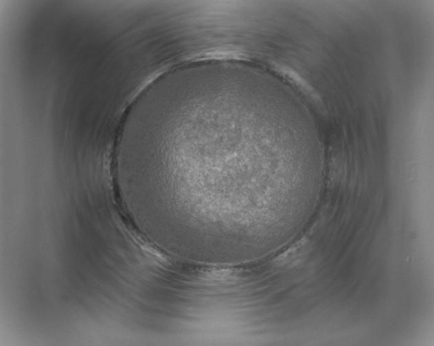 X0000070251162200606161904