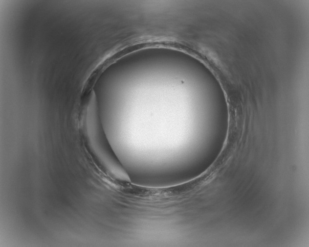 X0000070251165200606161904