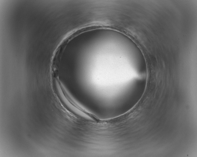 X0000070251168200606161904