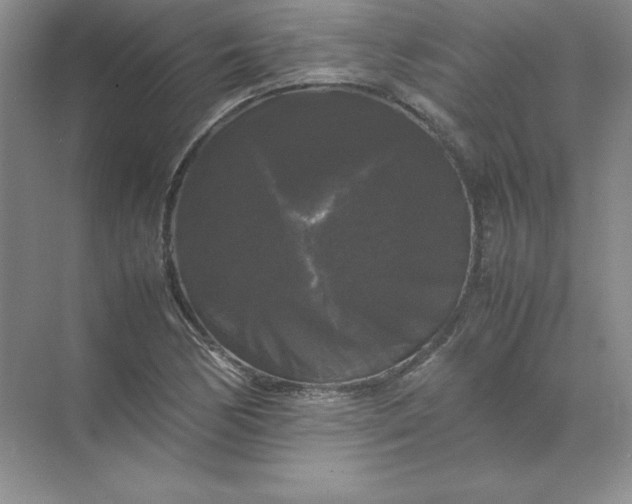 X0000070251170200606161904