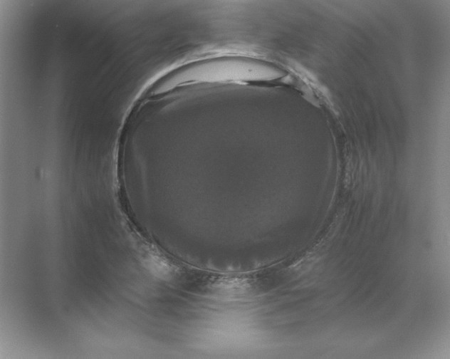X0000070251174200606161904