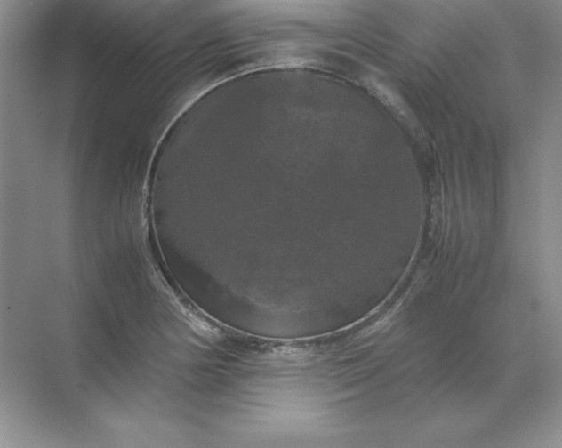 X0000070251178200606161904