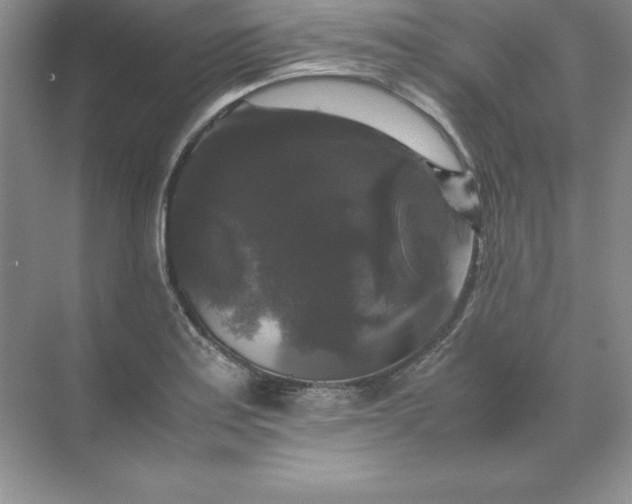 X0000070251179200606161904