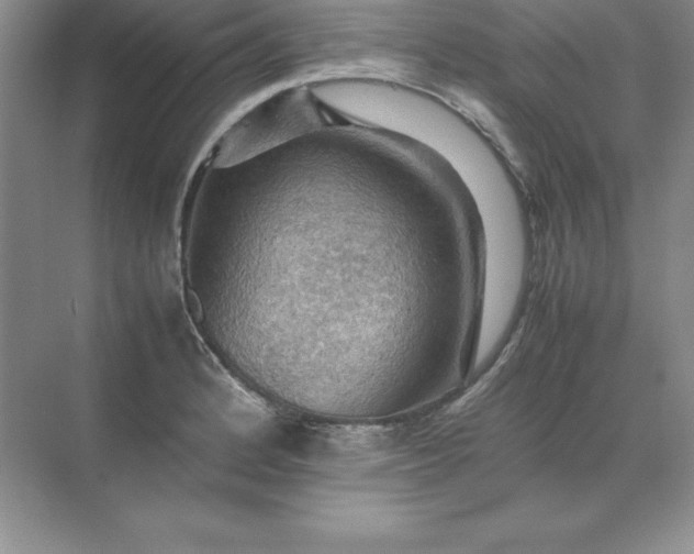 X0000070251184200606161904