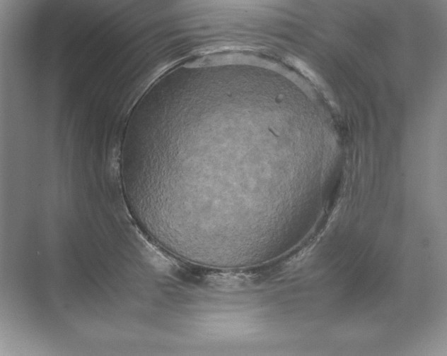 X0000070251185200606161904
