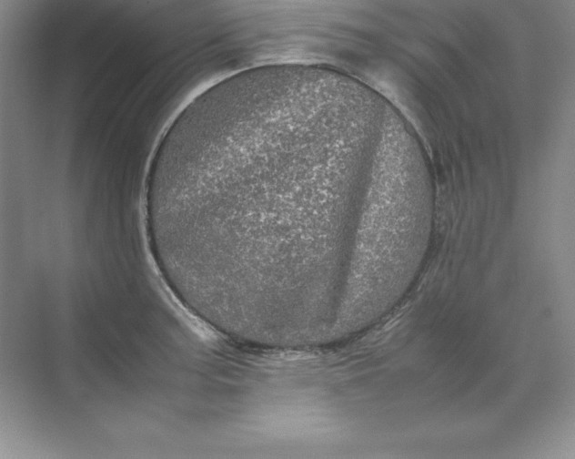X0000070251187200606161904