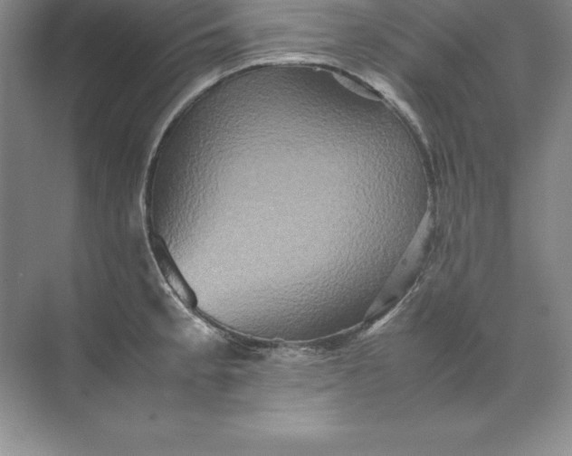 X0000070251189200606161904