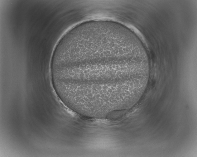 X0000070251191200606161904