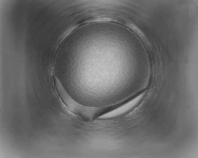 X0000070251193200606161904