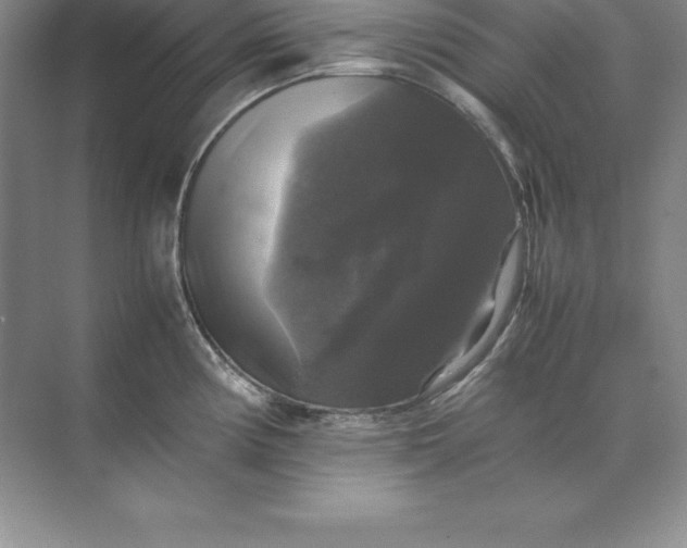 X0000070251194200606161904