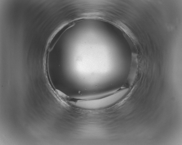 X0000070251196200606161904